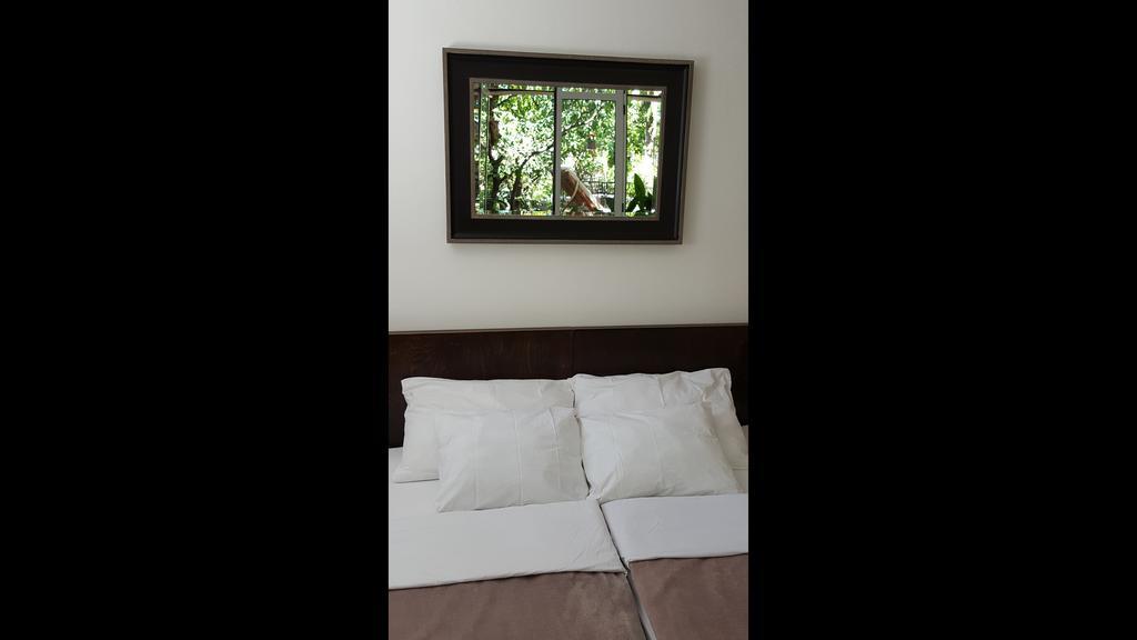 Turtle Apartments ดูบรอฟนิก ห้อง รูปภาพ